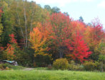 Quelques couleurs d'automne 